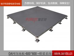 OA600全钢网络地板-带横梁-C4